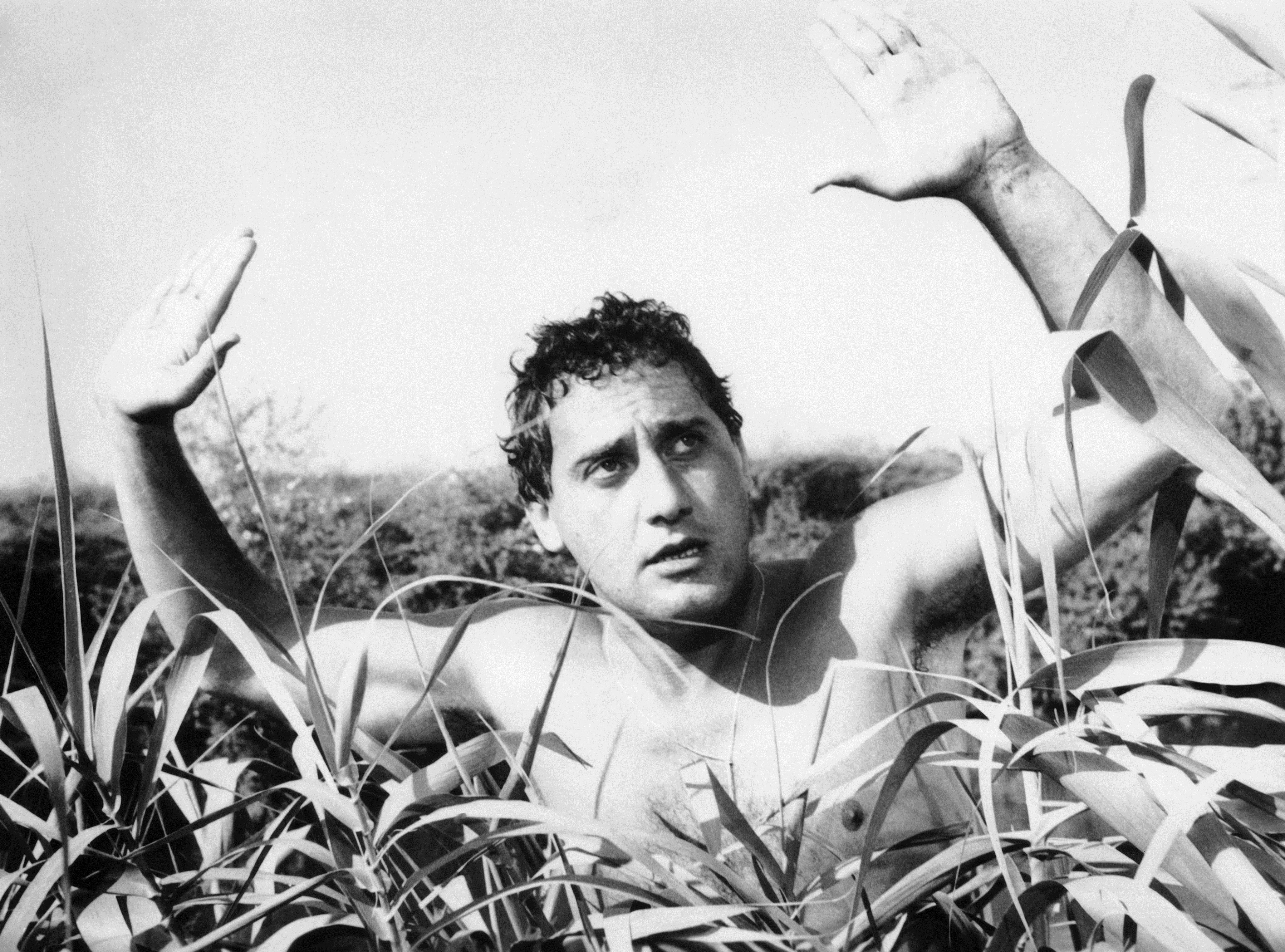 Alberto Sordi. La vita, i film | Cinema | Rai Cultura